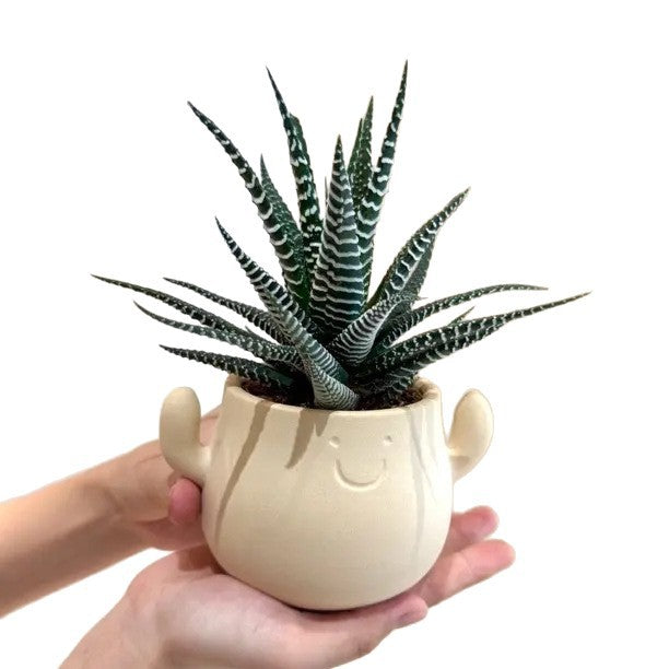 Kunstig grønn plante i dekorativ figurpotte