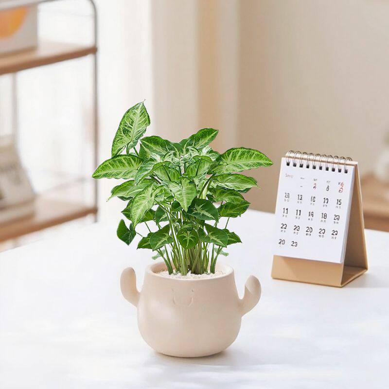 Kunstig grønn plante i dekorativ figurpotte