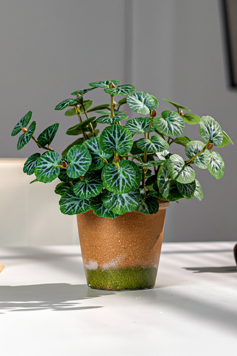 Kunstig grønn plante i potte