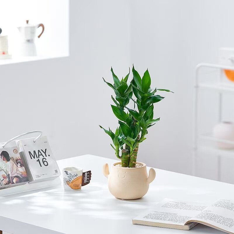 Kunstig grønn plante i dekorativ figurpotte