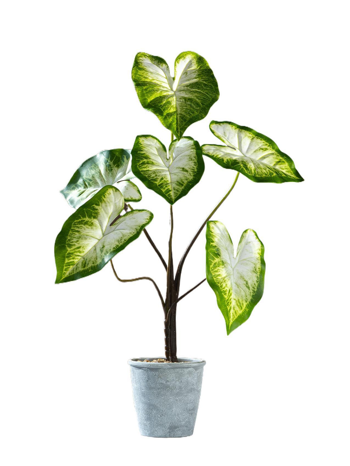Kunstig grønn plante i potte