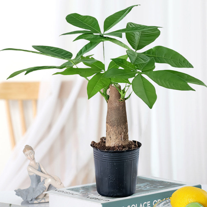 Kunstig grønn plante i dekorativ figurpotte