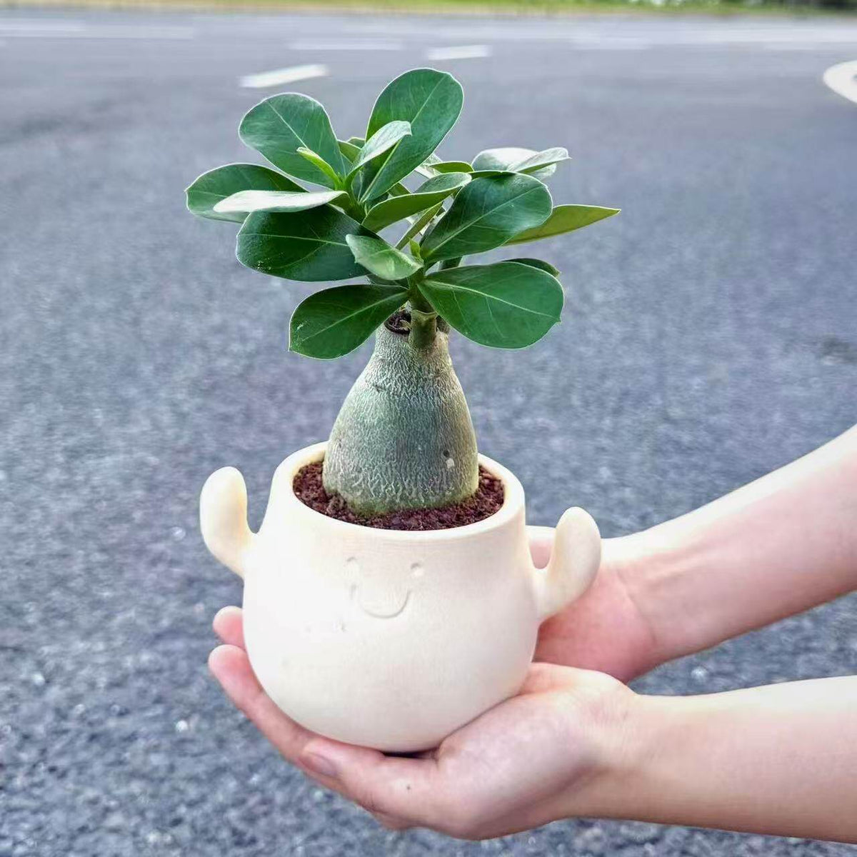 Kunstig grønn plante i dekorativ figurpotte