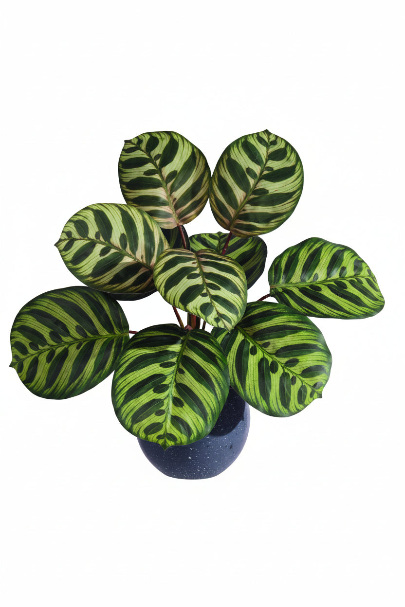 Kunstig grønn plante i potte